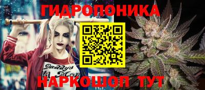 шишки Ставрополь