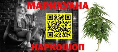 шишки Ставрополь
