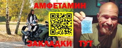 шишки Ставрополь