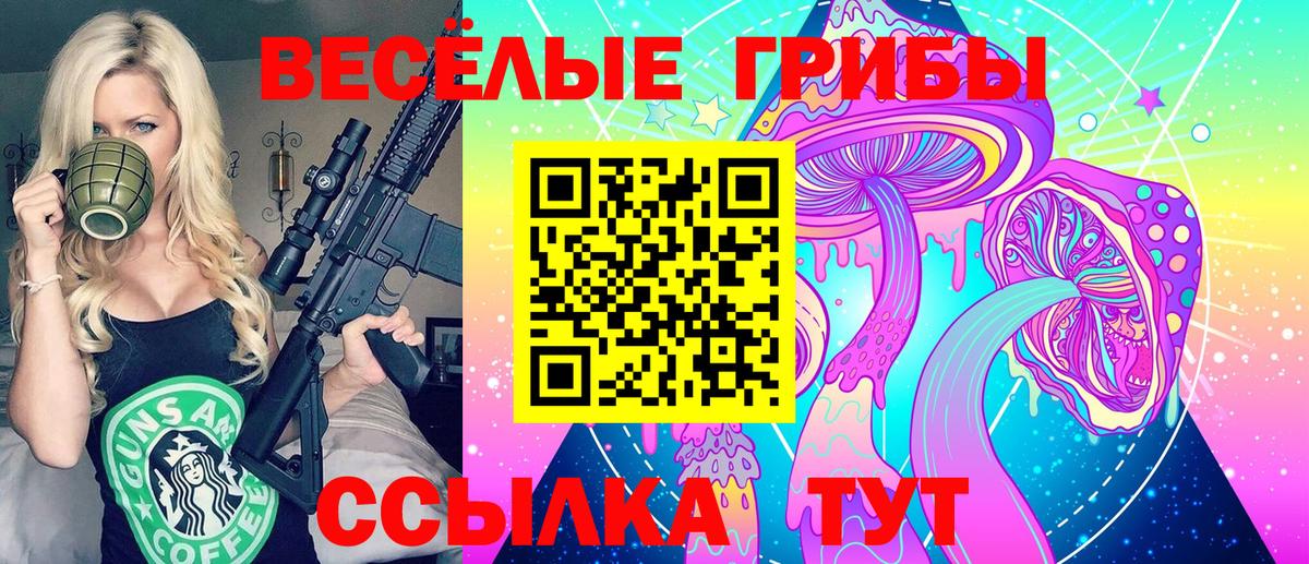цена наркотик  Псилоцибиновые грибы Cubensis  Большой Камень  Вход с VPN  Псилоцибиновые грибы Magic Shrooms 